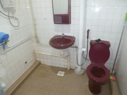 Blk 879 Yishun Street 81 (Yishun), HDB 4 Rooms #204912681
